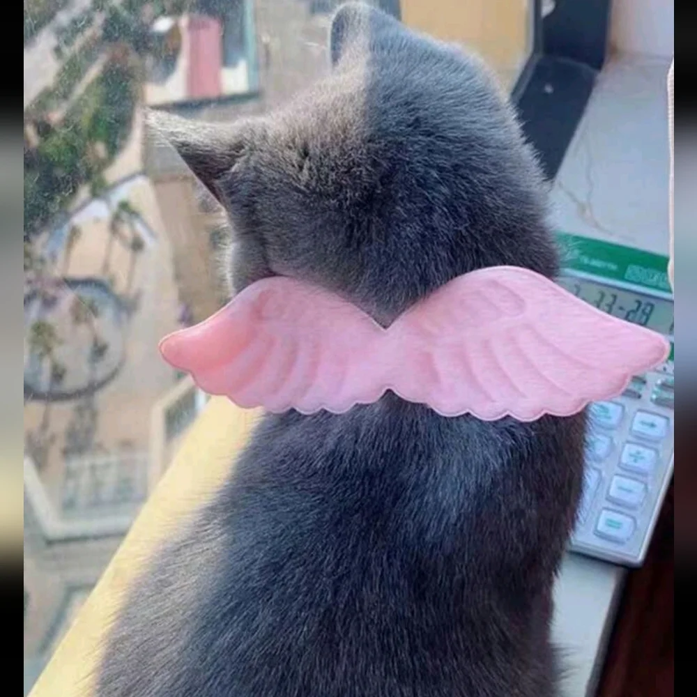 Pink angel wings for pet